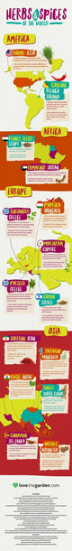 Lovely Infographic about Herbs and Spices of the World!