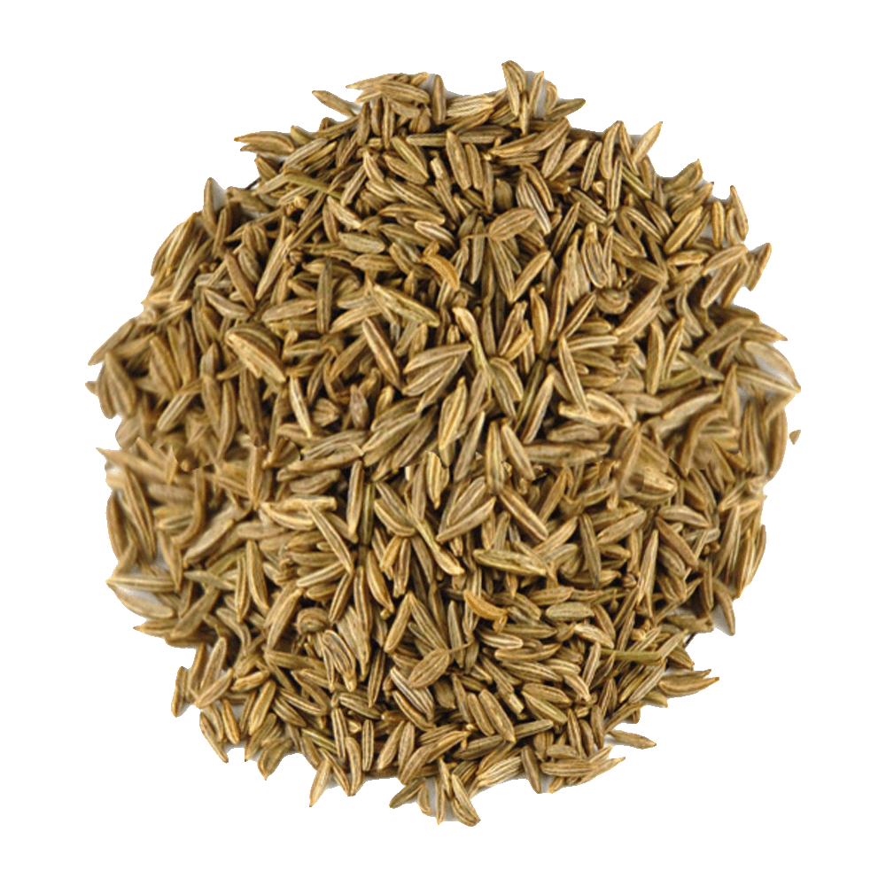 Caraway Seeds - Whole - Spice Kitchen