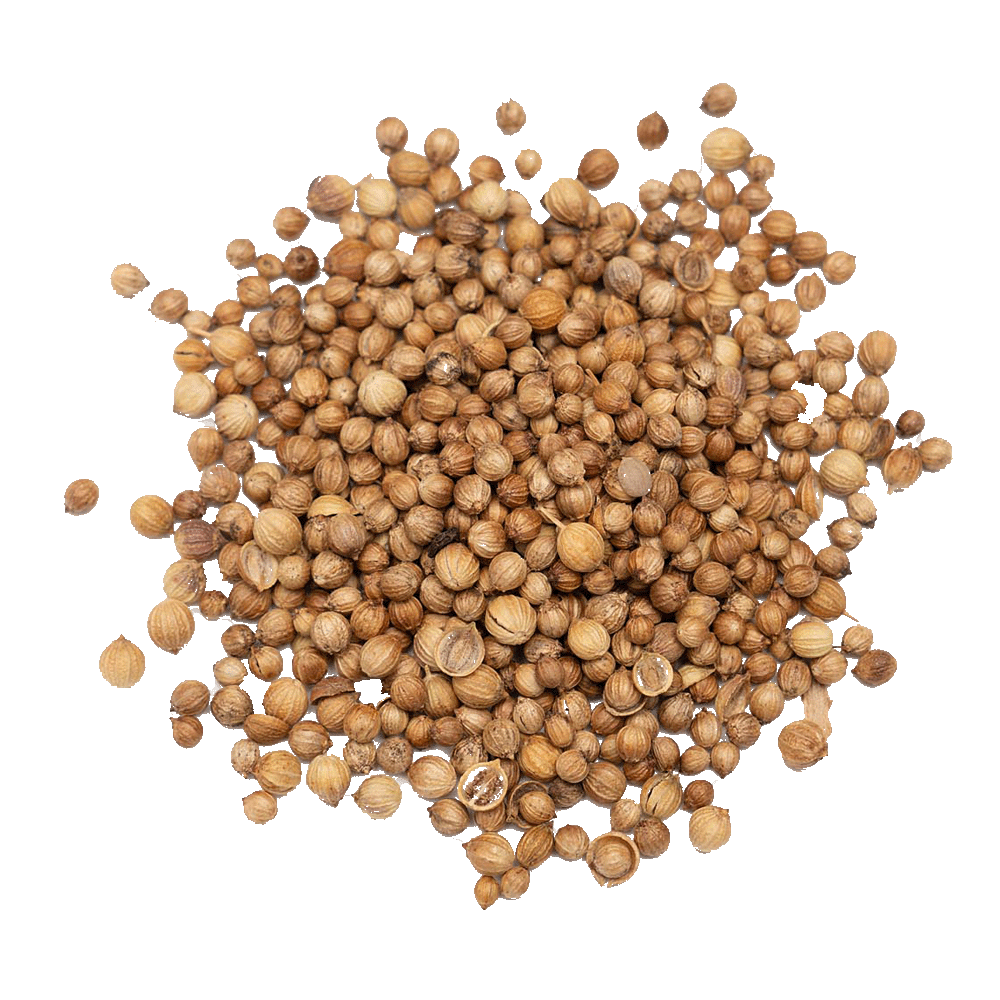 Coriander Seeds - Whole - Spice Kitchen