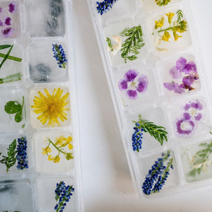 Edible Flower Ice Cubes 