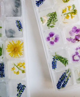 Edible Flower Ice Cubes 