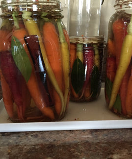 Raw Fermented Rainbow Carrots by Natasha MacAller