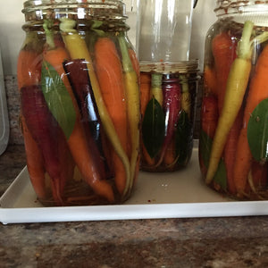 Glass jars crammed to the brim with colourful vertical fermented carrots