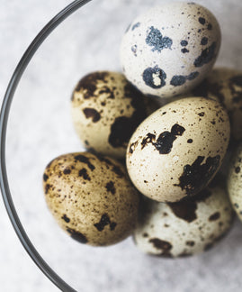 Quail Eggs & Breakfast Radish