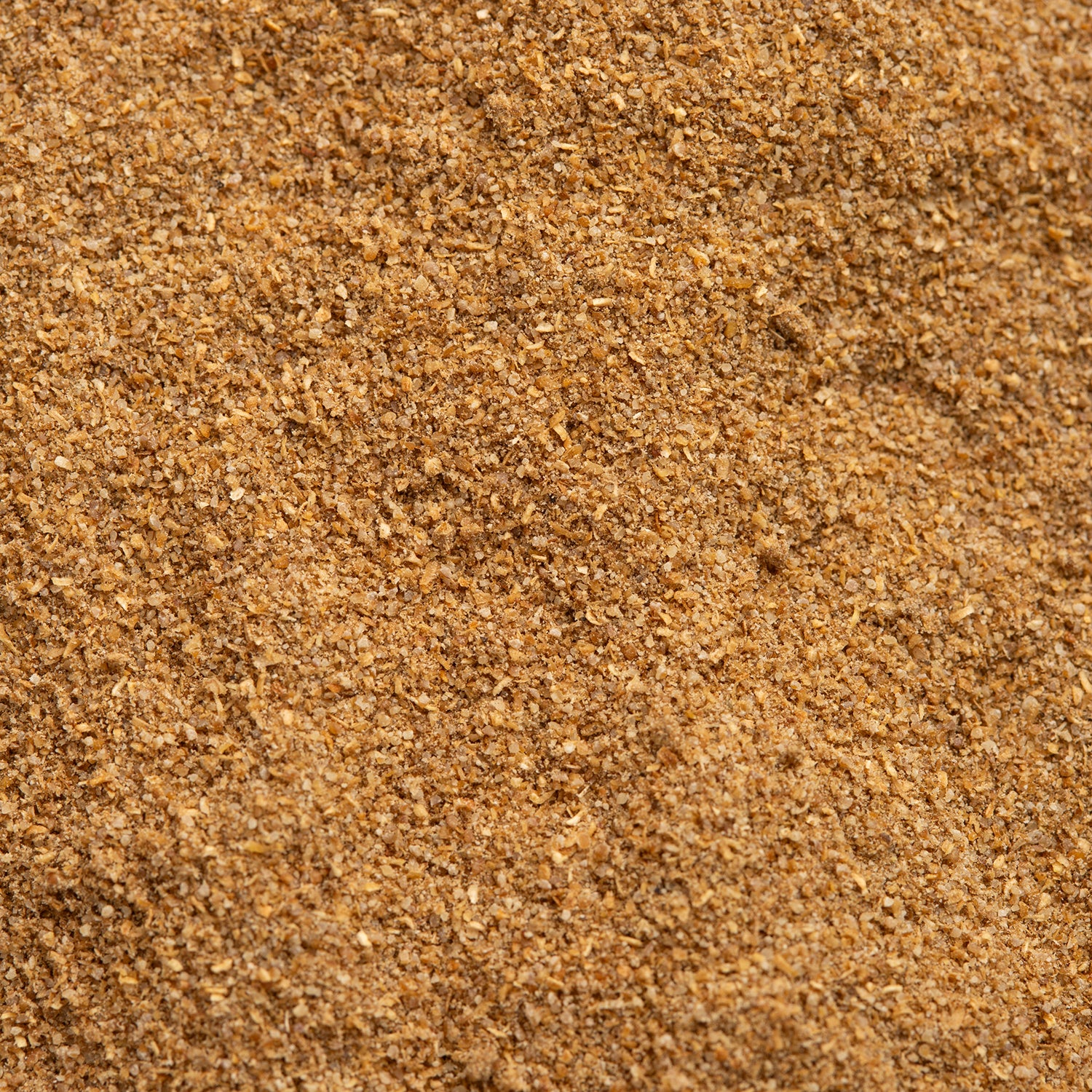 Spice Kitchen's coriander powder