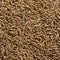 Close up of our cumin seeds