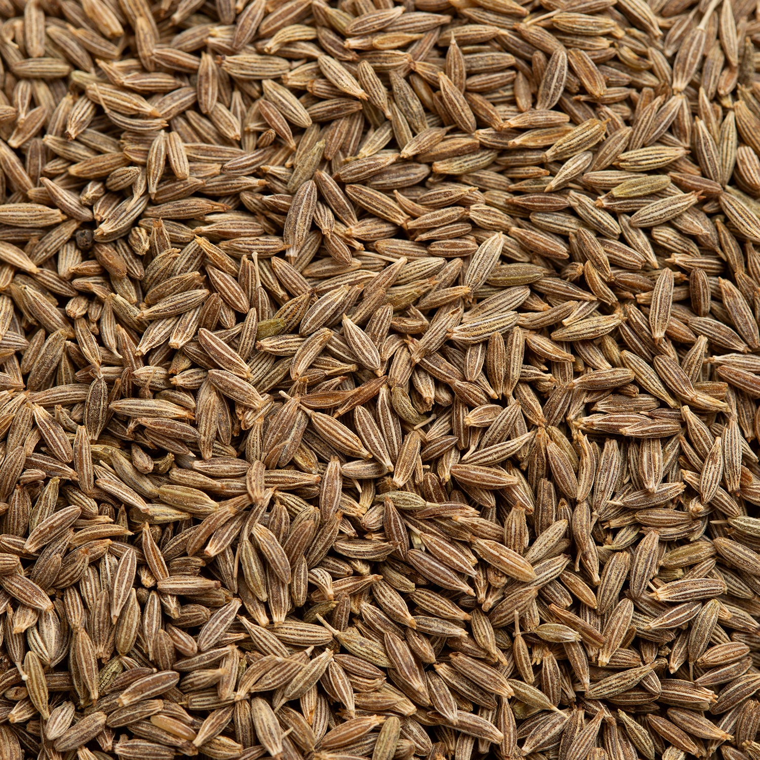 Close up of our cumin seeds