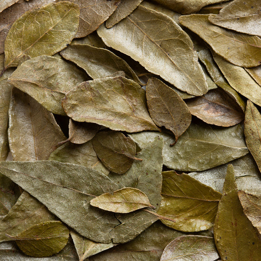 Close-up of dried curry leaves