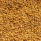 Close up shot of Spice Kistchen's Fenugreek Seeds