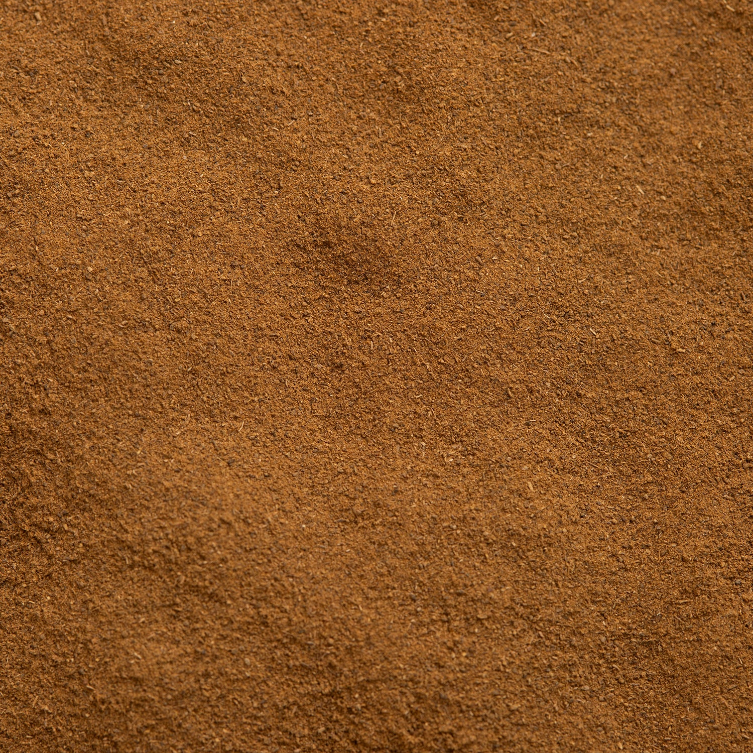Spice Kitchen's Nutmeg Powder