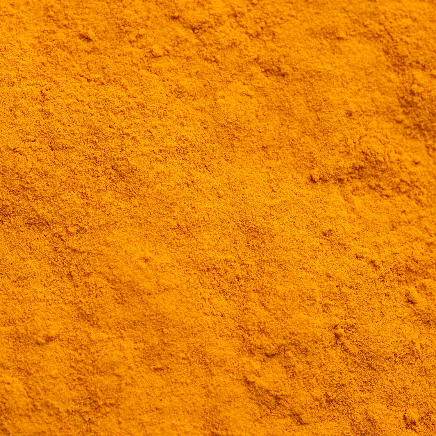 Close-up of Spice Kitchen's Turmeric powder 