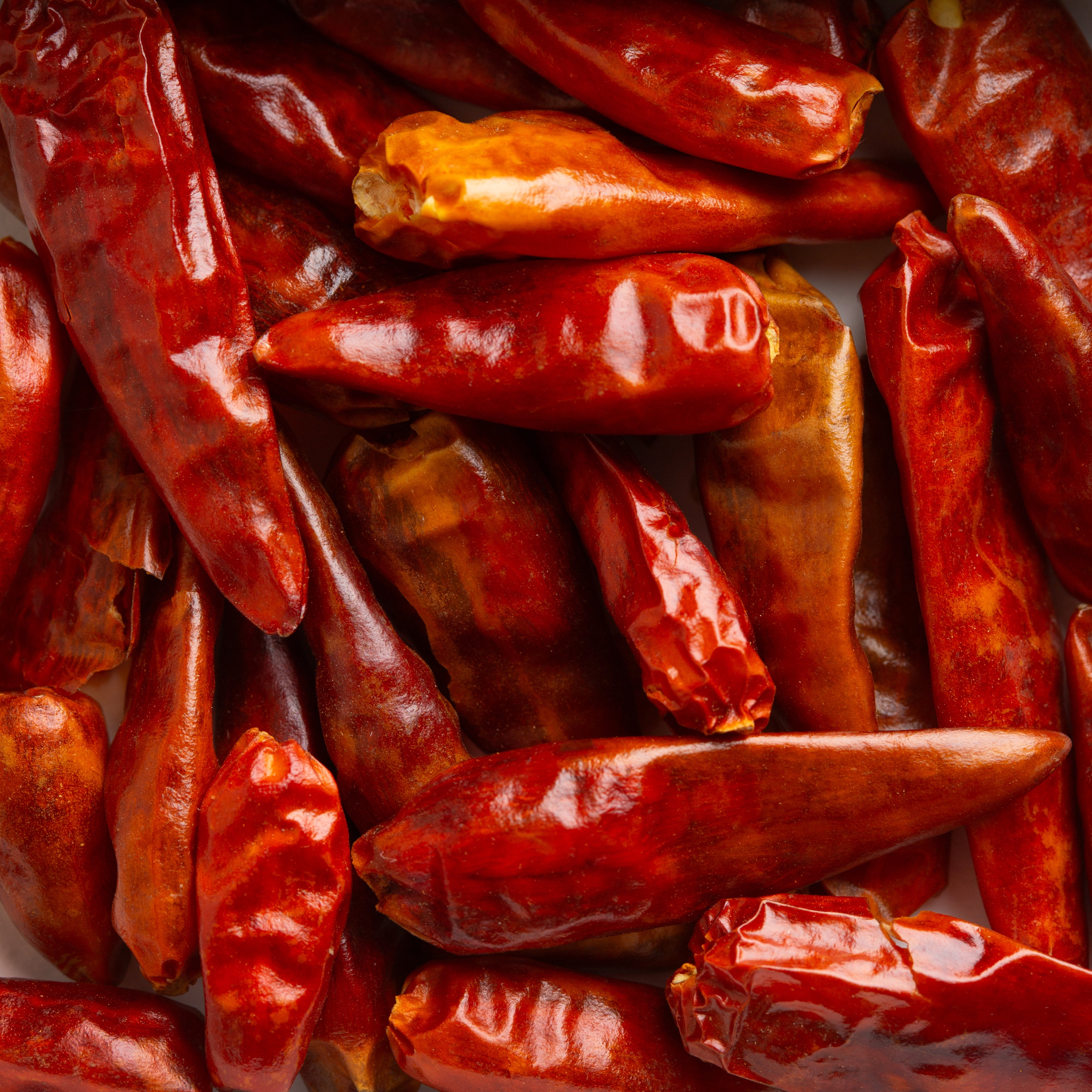 Close-up of Spice Kitchen's dried red whole chili peppers