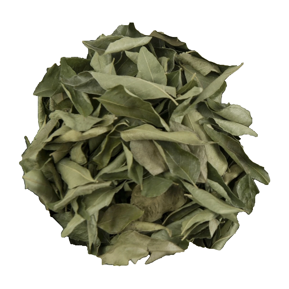 Curry Leaves - Whole - Spice Kitchen