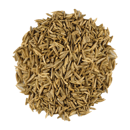Caraway Seeds - Whole - Spice Kitchen