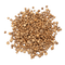 Coriander Seeds - Whole - Spice Kitchen